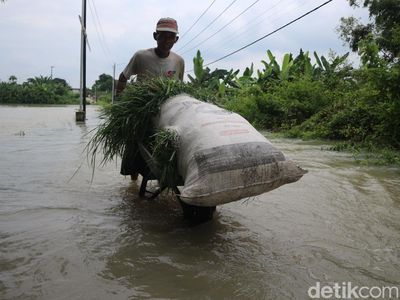 270 KK di Bojongoro Terisolir Akibat Banjir Bengawan Solo