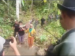 Zainudin Dimangsa Harimau, Polisi Imbau Warga Tak Berkebun Dulu Zainudin Dimangsa Harimau, Polisi Imbau Warga Tak Berkebun Dulu
