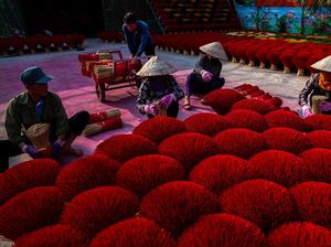 Melihat Sibuknya Desa Dupa Vietnam Jelang Imlek Melihat Sibuknya Desa Dupa Vietnam Jelang Imlek