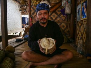 Video: Pesona Durian Khas Baduy yang Memikat Hati Wisatawan Video: Pesona Durian Khas Baduy yang Memikat Hati Wisatawan