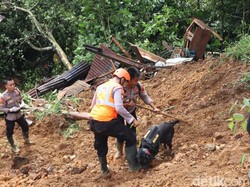 Peran Tim K-9 Polda Jateng Temukan Jenazah Bayi Korban Longsor Pekalongan