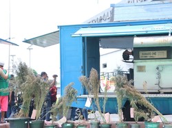 Polres Jakbar Musnahkan Sabu dan Ganja Senilai Rp 106 Miliar