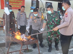 Polisi Musnahkan 656,8 Gram Ganja dari Pelajar SMP di Nabire