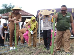 7,92 Hektare Lahan di Trenggalek Ditanami Jagung Dukung Ketahanan Pangan