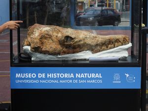 Potret Nenek Moyang Hiu Berusia 9 Juta Tahun Ditemukan di Peru