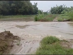 Air Bengawan Solo Naik, Tanggul di Maduran Lamongan Jebol
