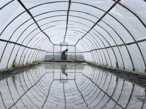 Prabowo Minta Industri Pangan-Farmasi Pakai Garam Lokal Mulai 31 Desember