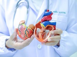 6 Makanan untuk Memperlancar Pembuluh Darah, Cegah Penyakit Jantung-Stroke 6 Makanan untuk Memperlancar Pembuluh Darah, Cegah Penyakit Jantung-Stroke