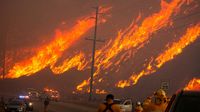 Kebakaran California Belum Usai, Kobaran Api Melanda Wilayah Baru