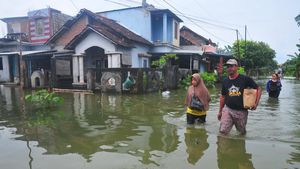 Potret Banjir di Kudus Akibat Meluapnya Air Sungai Wulan
