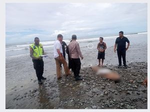 Pria Asal Jember Tewas Terseret Arus di Pantai Pulukan Jembrana