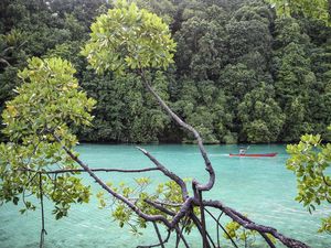 Pulau Maratua Bak Kepingan Surga di Berau