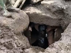 Bilik Batu Kubur yang Baru Ditemukan di Bondowoso Dijarah, Isinya Emas-Keris