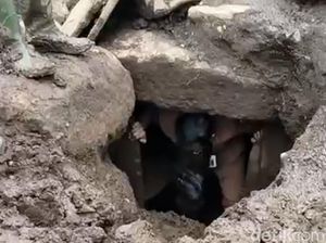 Bilik Batu Kubur yang Baru Ditemukan di Bondowoso Dijarah, Isinya Emas-Keris Bilik Batu Kubur yang Baru Ditemukan di Bondowoso Dijarah, Isinya Emas-Keris