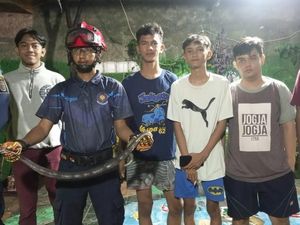 Hiii! Ular Kobra Masuk Rumah Warga di Depok, Damkar Turun Tangan Hiii! Ular Kobra Masuk Rumah Warga di Depok, Damkar Turun Tangan