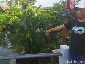 Bocah SD Tewas Tenggelam Saat Mancing di Sungai Pleret Klaten Bocah SD Tewas Tenggelam Saat Mancing di Sungai Pleret Klaten