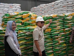 Video Bulog Punya Anggaran Rp 39 T, Zulhas: Bisa Beli 3 Juta Ton Beras