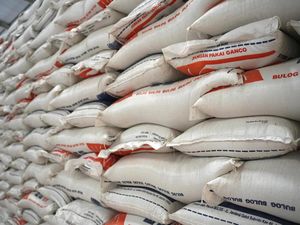 Prabowo Minta Bangun Gudang Beras buat Serap Gabah Petani Prabowo Minta Bangun Gudang Beras buat Serap Gabah Petani