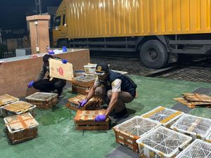 Polisi Gagalkan Penyelundupan Ratusan Burung Ilegal Asal Pekanbaru