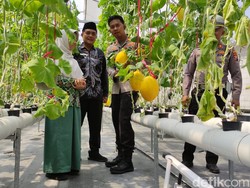 Polisi Sidoarjo Edukasi dan Dukung Santri Tanam Buah Hidroponik