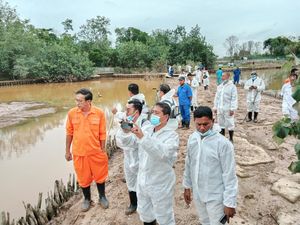 3 Buaya yang Lepas dari Penangkaran di Batam Masih Berkeliaran 3 Buaya yang Lepas dari Penangkaran di Batam Masih Berkeliaran