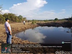 Turun Tangan Polres Maros Usut SHM di Hutan Mangrove Dibabat Jadi Empang