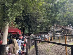 15 Ribu Pengunjung Padati KBS Saat Long Weekend