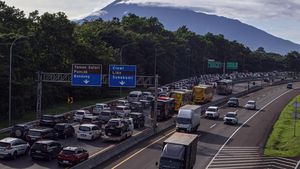 Potret Kepadatan Jalur Wisata Puncak Bogor Saat Libur Panjang