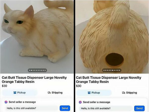 Sederet Barang Aneh yang Dijual di Internet, Kamu Tertarik Beli?