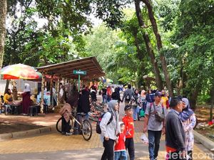 Video: Simak! Jadwal Operasional Ragunan Selama Libur Lebaran Video: Simak! Jadwal Operasional Ragunan Selama Libur Lebaran