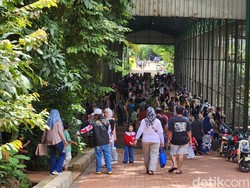 Video: Tetap Buka di Libur Waisak, Ragunan Diserbu Pengunjung