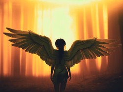 Andai Manusia Bisa Terbang, Ini Perkiraan Ukuran Sayap yang Dibutuhkan