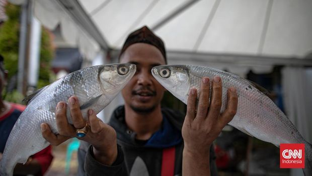 Terpangkas Rp13 Ribu, Harga Emas Antam Jelang Akhir Pekan Ini Dipatok Rp1.910.000 per Gram