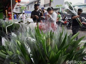 Jelang Imlek, Penjualan Bunga Sedap Malam Meningkat Jelang Imlek, Penjualan Bunga Sedap Malam Meningkat
