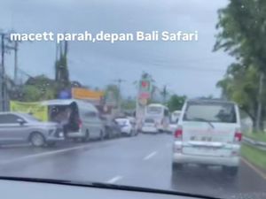 Pengunjung Bali Safari Membeludak, Bypass IB Mantra Macet Parah Pengunjung Bali Safari Membeludak, Bypass IB Mantra Macet Parah