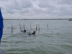 Kortas Tipikor Polri Mulai Selidiki Dugaan Korupsi Kasus Pagar Laut Tangerang