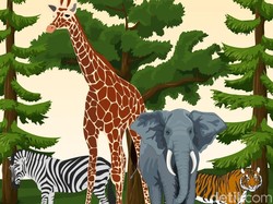 Video: Eksplor Ragunan Zoo, 4 Spot yang Selalu Jadi Favorit