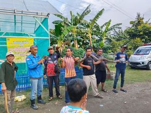 Salah Sangka Warga Bekasi di Balik Septic Tank Jadi Sarang 14 Sanca Salah Sangka Warga Bekasi di Balik Septic Tank Jadi Sarang 14 Sanca