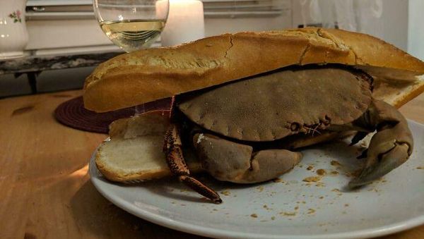 10 Tampilan Makanan yang Absurd Ini Bikin Malas Makan