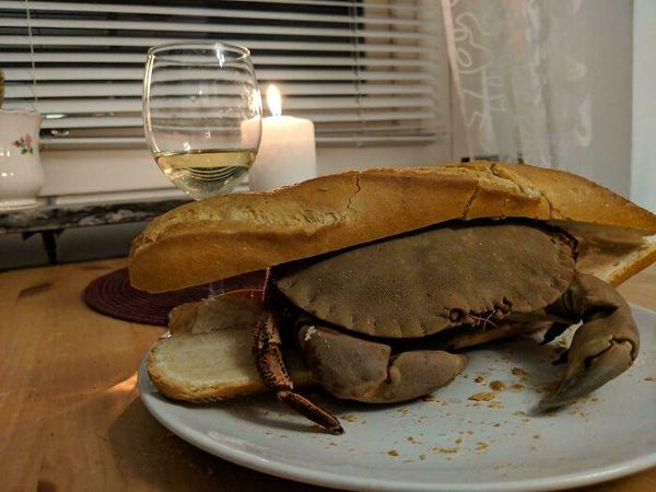 10 Tampilan Makanan yang Absurd Ini Bikin Malas Makan