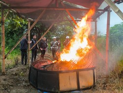 Polisi-TNI Obrak-abrik Arena Judi Sabung Ayam di Lamongan