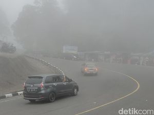 Jalur Puncak Cianjur Lengang di Momen Cuti Bersama Jalur Puncak Cianjur Lengang di Momen Cuti Bersama