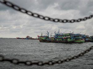 Kapal Ikan Lakukan Transhipment Rp 1,8 Miliar Terciduk Kapal Ikan Lakukan Transhipment Rp 1,8 Miliar Terciduk