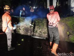 Angin Kencang, Pohon Mahoni Tumbang Tutup Jalan Selabintana Sukabumi