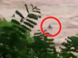 Momen Horor Abdul Terseret Arus Sebelum Menghilang di Sungai Cikandang