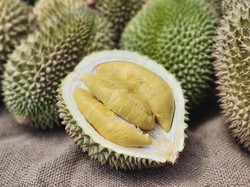 Berapa Batas Aman Makan Durian Sehari? Begini Penjelasan Ahli