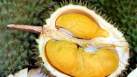 Marak Durian Ilegal Malaysia Masuk Lewat Batam, Polisi Selidiki