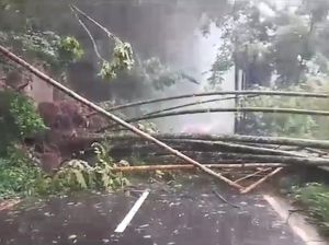 Longsor di Pujon Tutup Akses Jalur Malang-Kediri