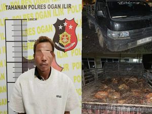 Pria di Ogan Ilir Diamankan Pemilik Kebun Usai Kepergok Curi Sawit Pria di Ogan Ilir Diamankan Pemilik Kebun Usai Kepergok Curi Sawit
