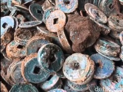 Petani Lereng Bromo Pasuruan Temukan 1 Kuintal Koin Kuno saat Tanam Kubis